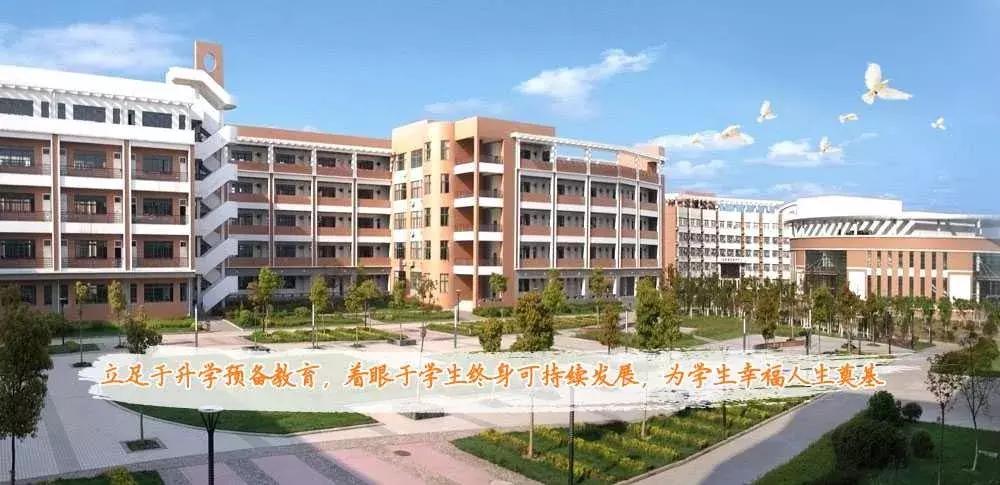 合肥168中学前多少名能上985,合肥168中学什么水平