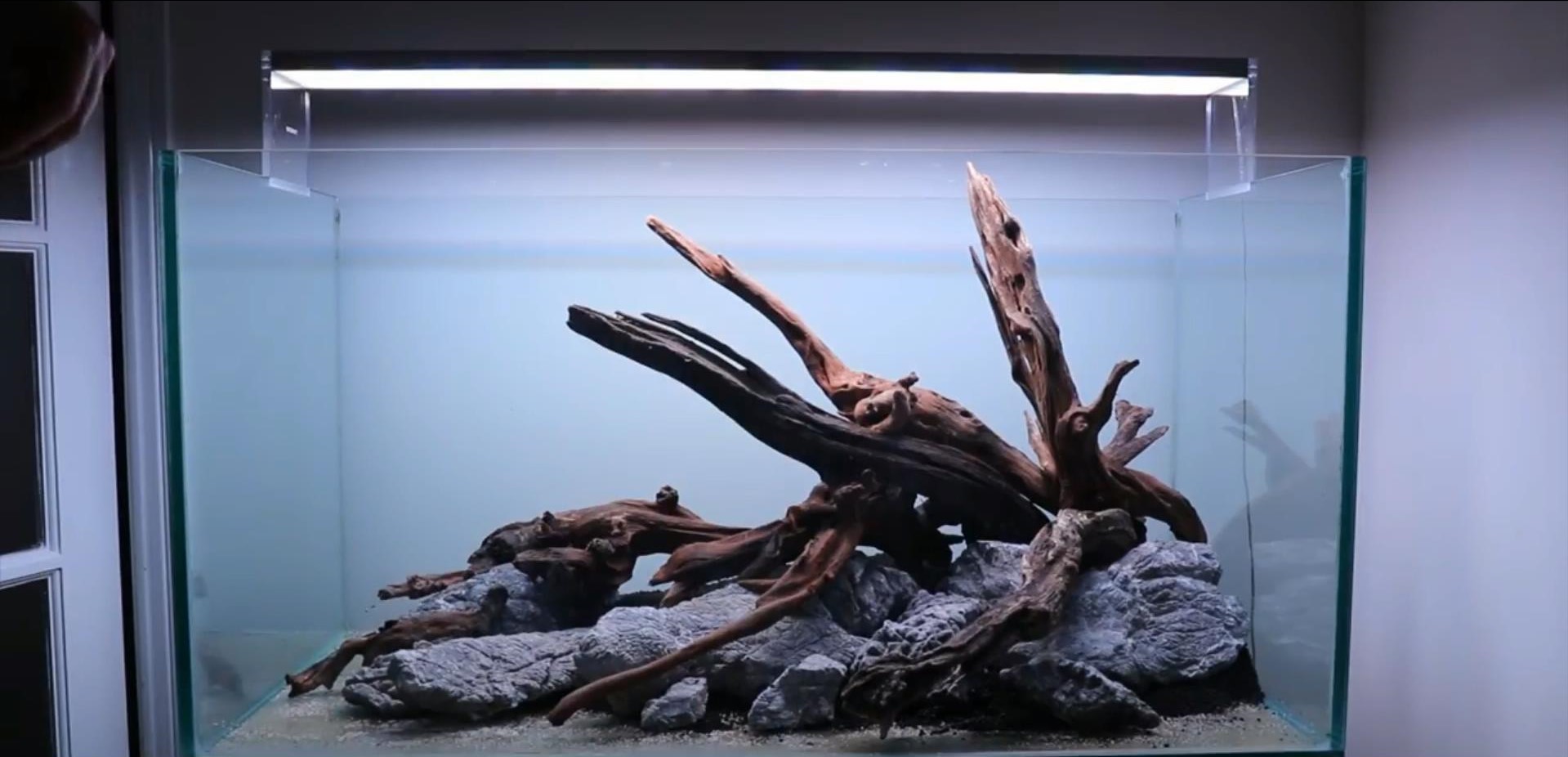 沉木草缸入门造景,50厘米草缸入门造景