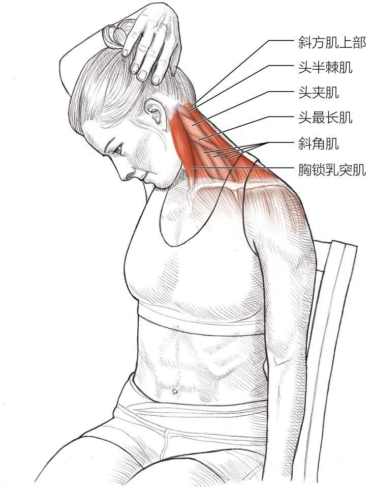 学舞蹈不会扭,学舞蹈不会基本功怎么办