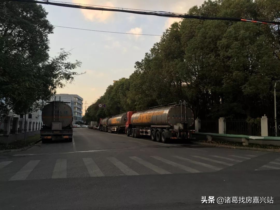 谁在嘉兴黑土地上“种”房子?