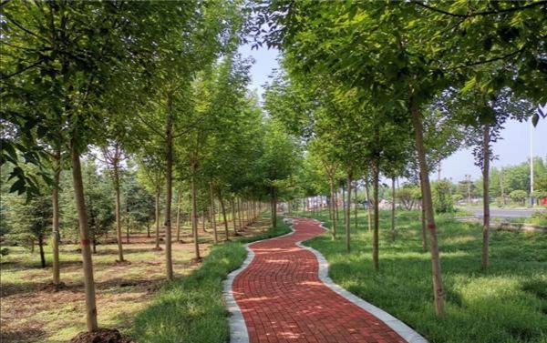 最真实的农村与农民的区别,最真实的农村现状