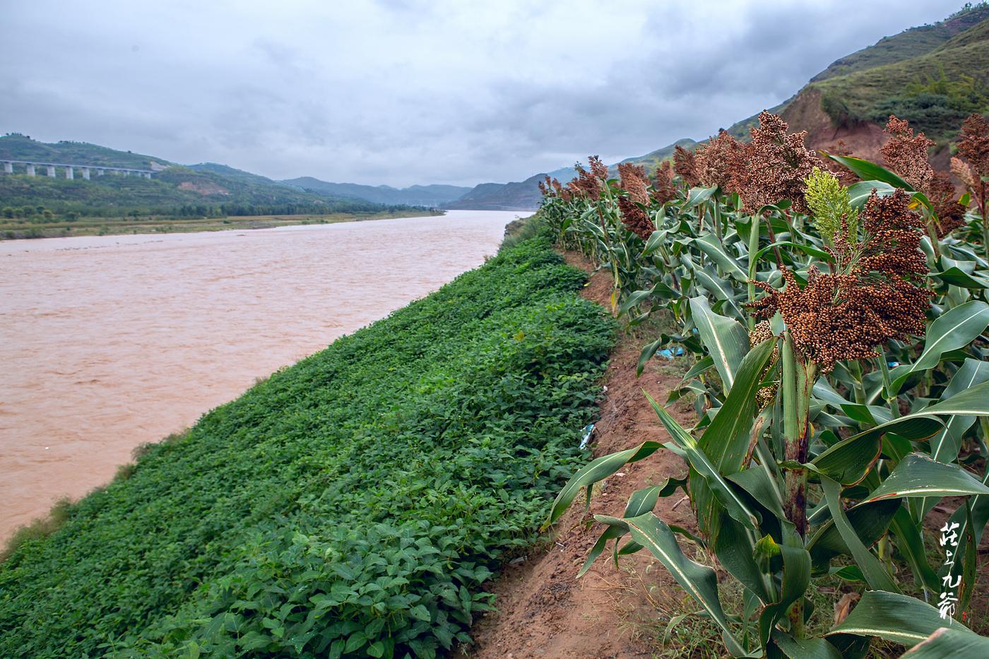 黄河上寂寥的碛口号大船留住了曾经的盛世繁华