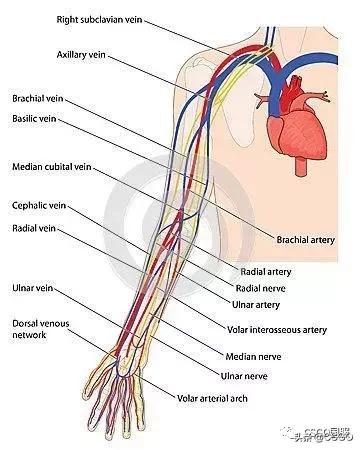 csgo闪光弹被人挡住了还会被闪吗,csgo与现实对比