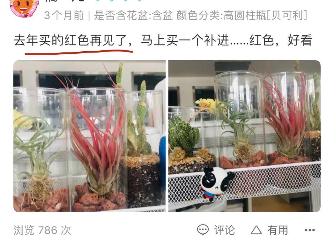 懒人神器鸡肋,真正的懒人神器