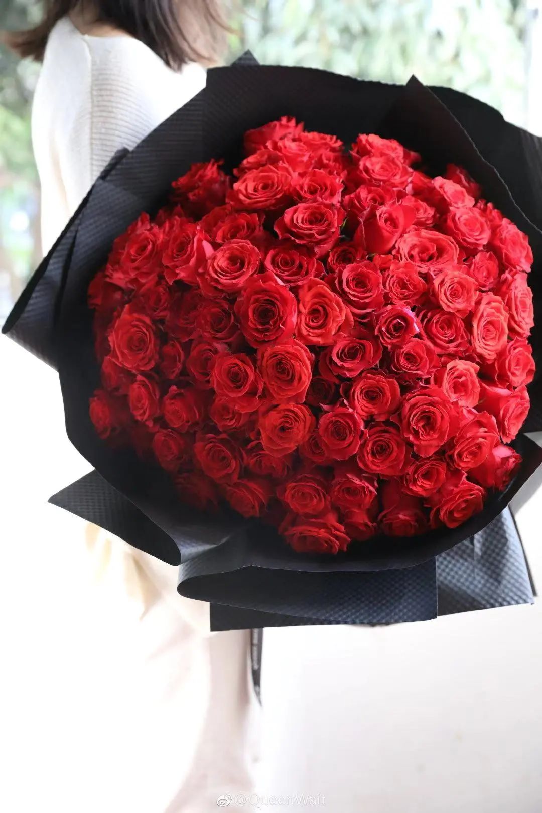 经典咏流传芦花,玫瑰花经典咏流传