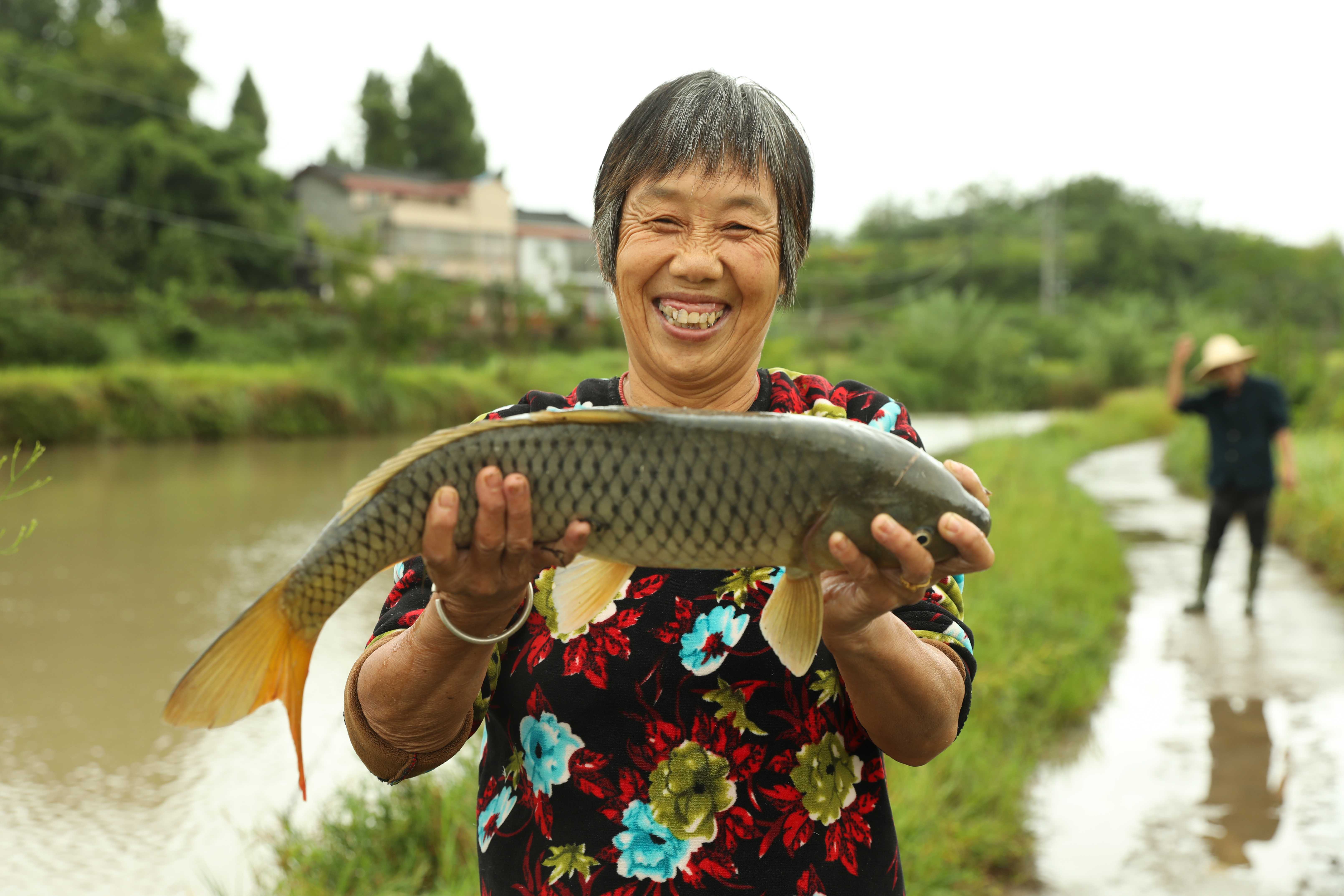 「丰收节」人欢鱼跃庆丰年