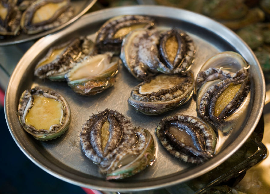 心痛的感觉！八种海鲜暂别啦