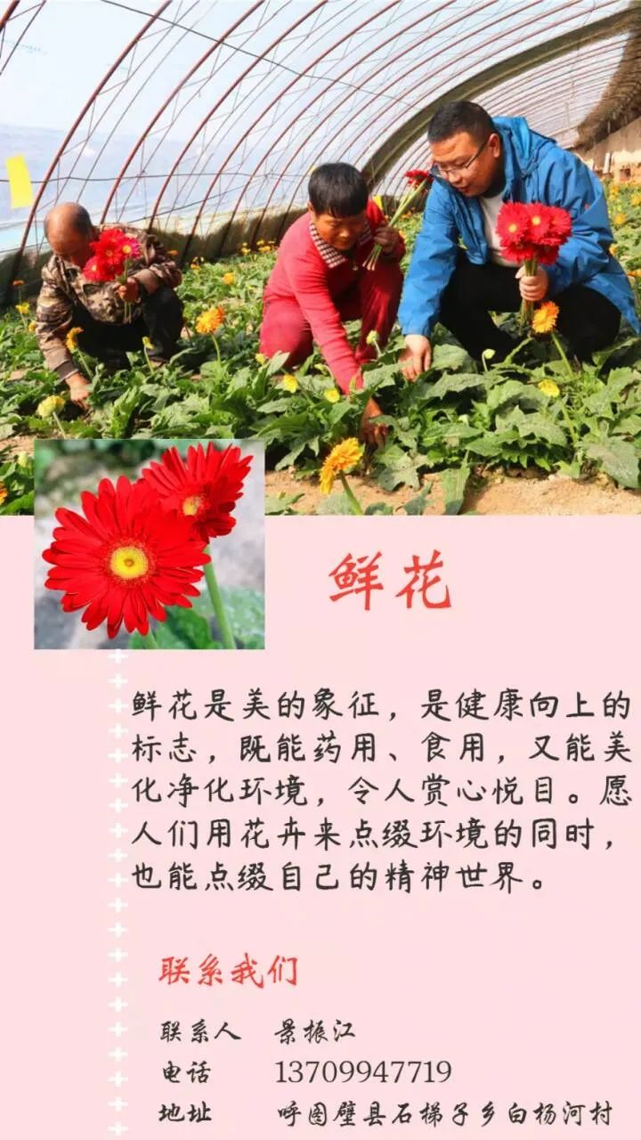 呼图壁县第一书记,昌吉呼图壁县委书记