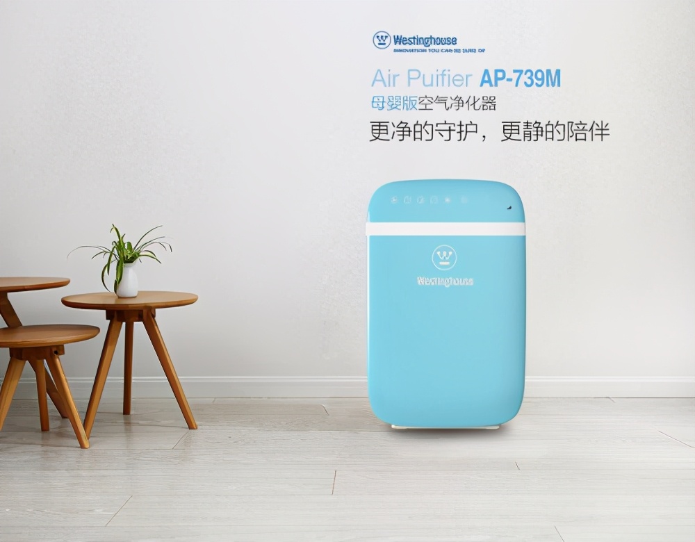 车载净化器除甲醛哪个品牌好,除甲醛空气净化器哪个牌子好