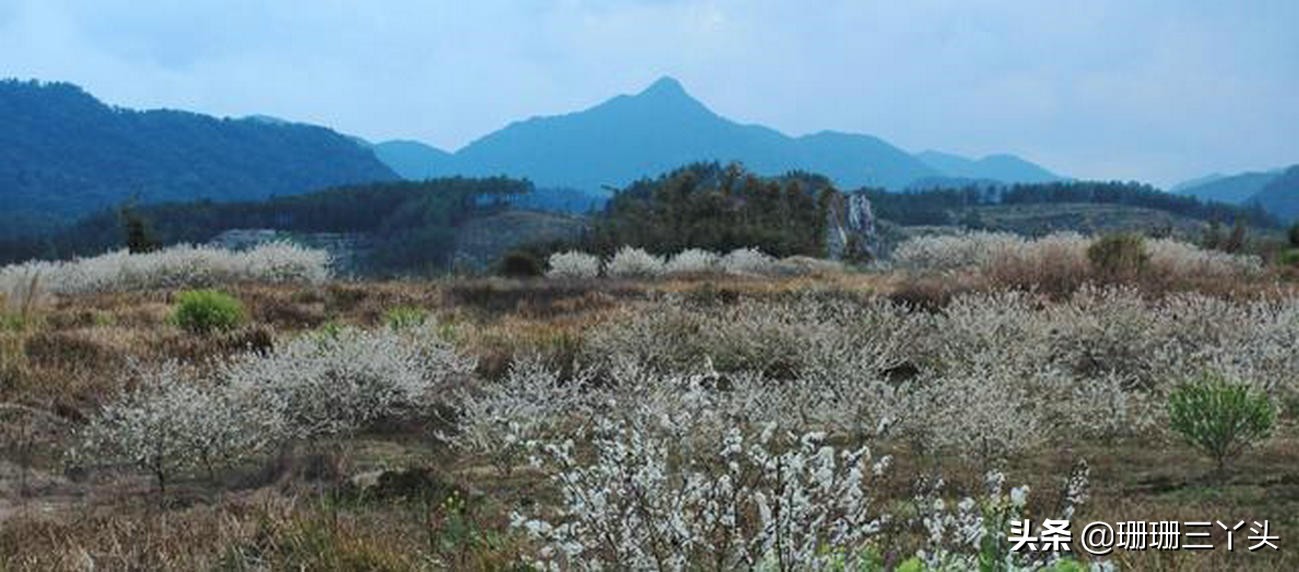 广州的后花园,广州的后花园是哪