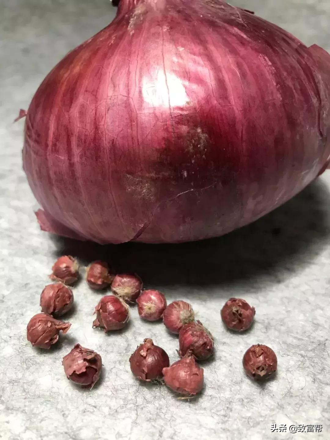 90后母亲被骗,90后妈妈因造假走红