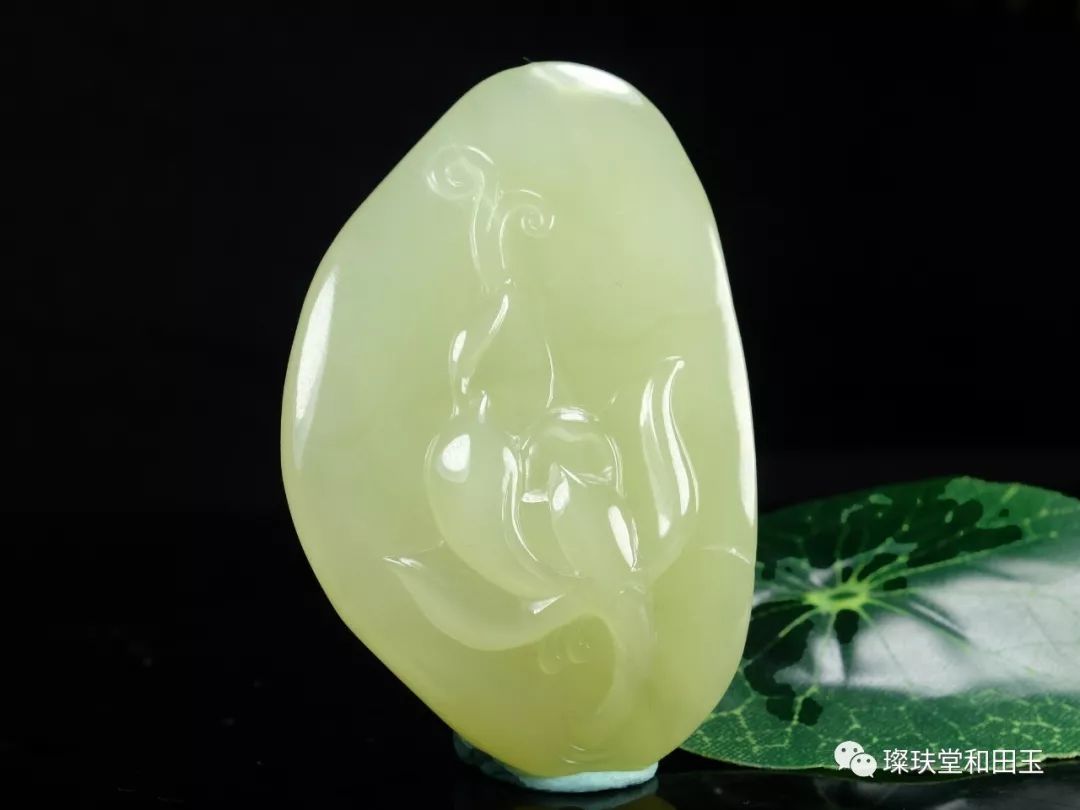 带你领略食材的魅力,真正的黄口料