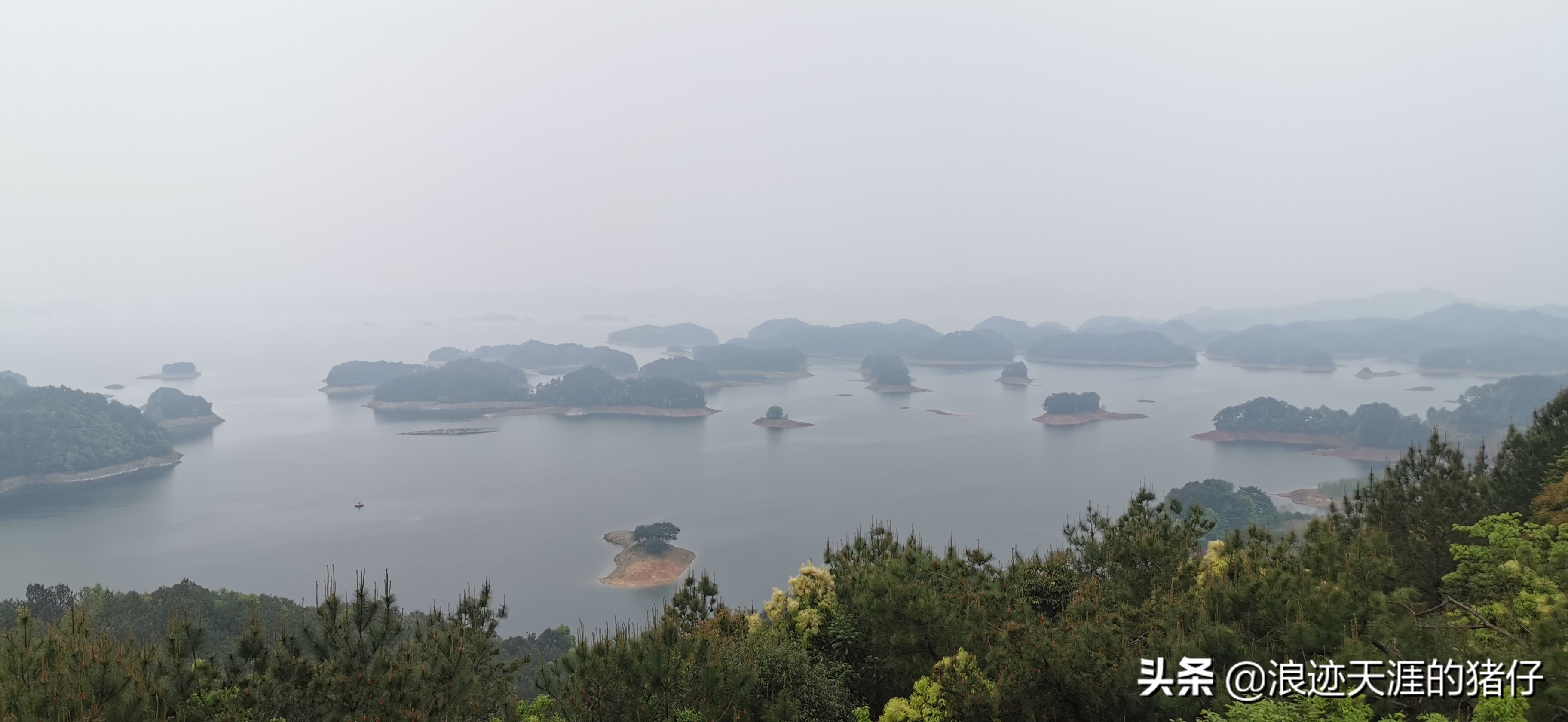 千岛湖疫情政策,千岛湖景区半价优惠
