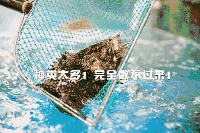 惠州融创海湾半岛家庭公寓房装修,惠州融创海湾半岛顶楼3层复式