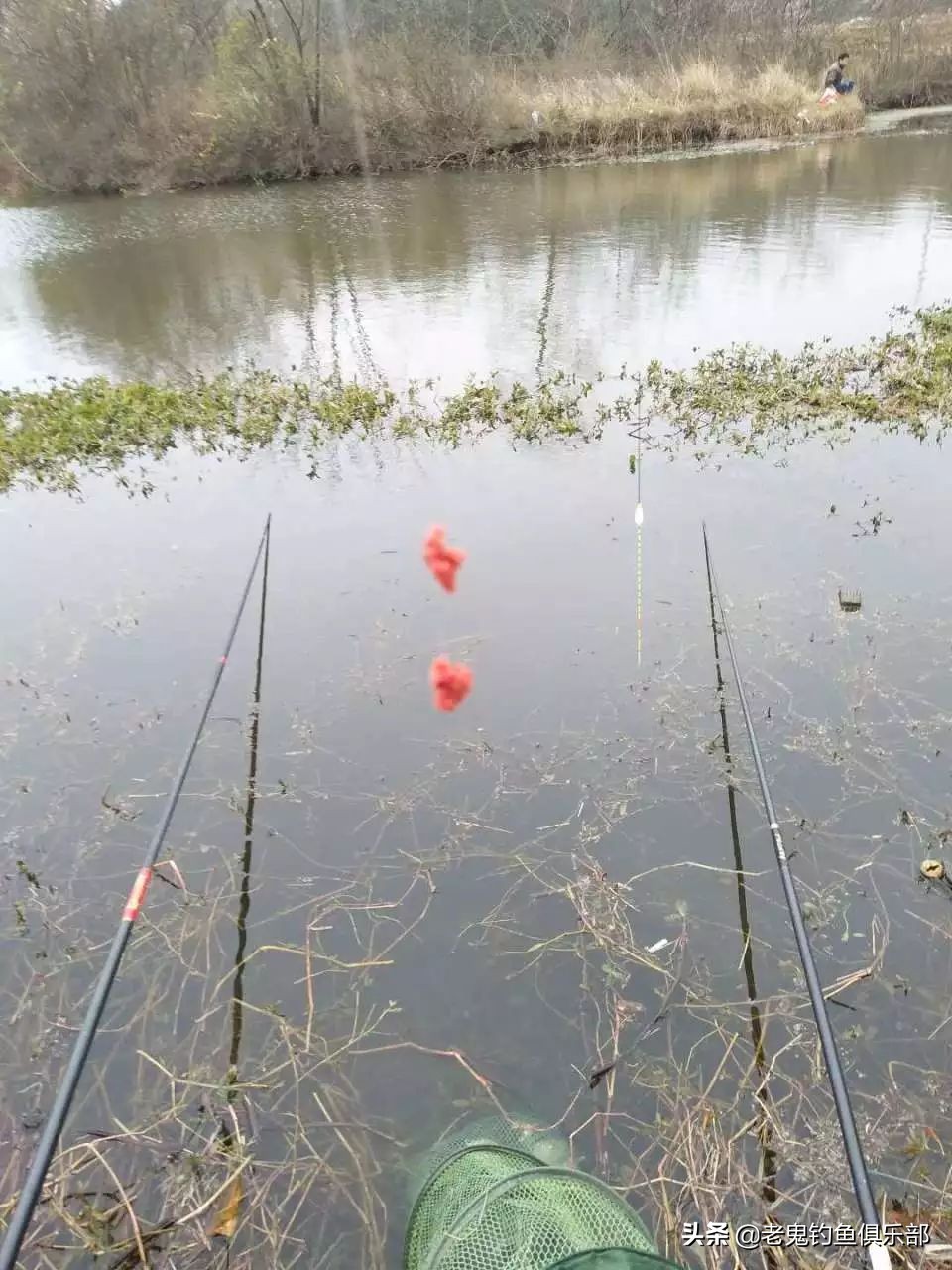 老鬼最经典鲫鱼饵料,老鬼饵料官方旗舰店大鲫大鲤