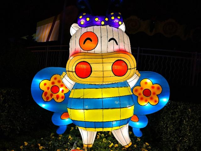 可爱的麦兜的视频,麦兜去哪旅行