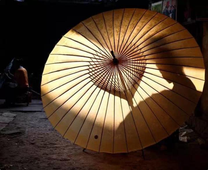 俗话说;“千棵棕万棵桐,子子孙孙都不穷”,为什么这样说?