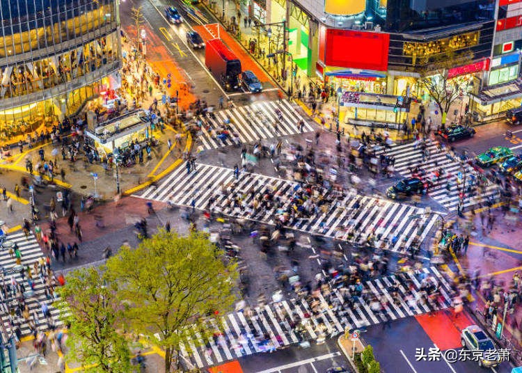 十年东京华人老炮解析——东京23区图鉴