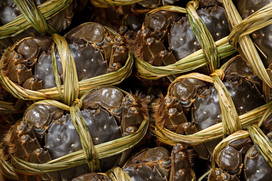 死螃蟹不能吃是指河蟹还是海蟹,哪种螃蟹可以吃哪种螃蟹不能吃