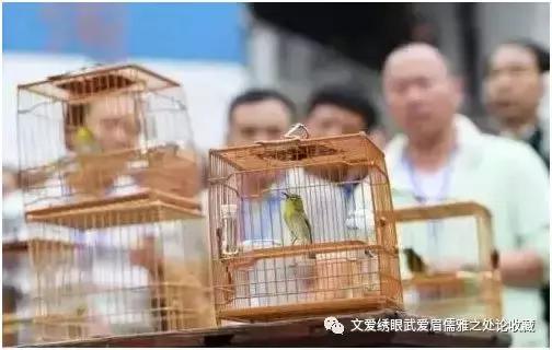 文爱绣眼武爱眉儒雅之处论收藏