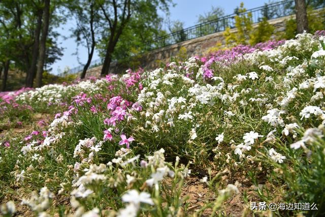 干货超全装修知识培训,看干货学装修知识