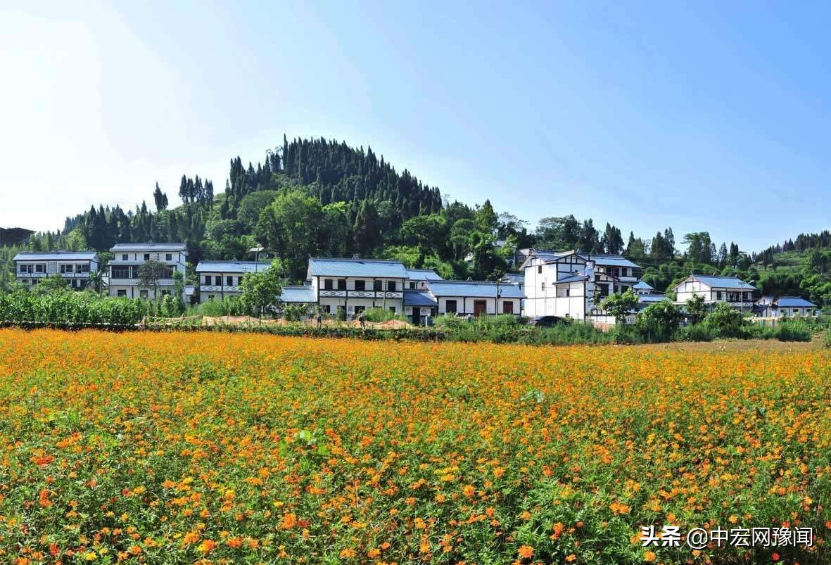 河南100个示范村名单,第五批河南村落名单