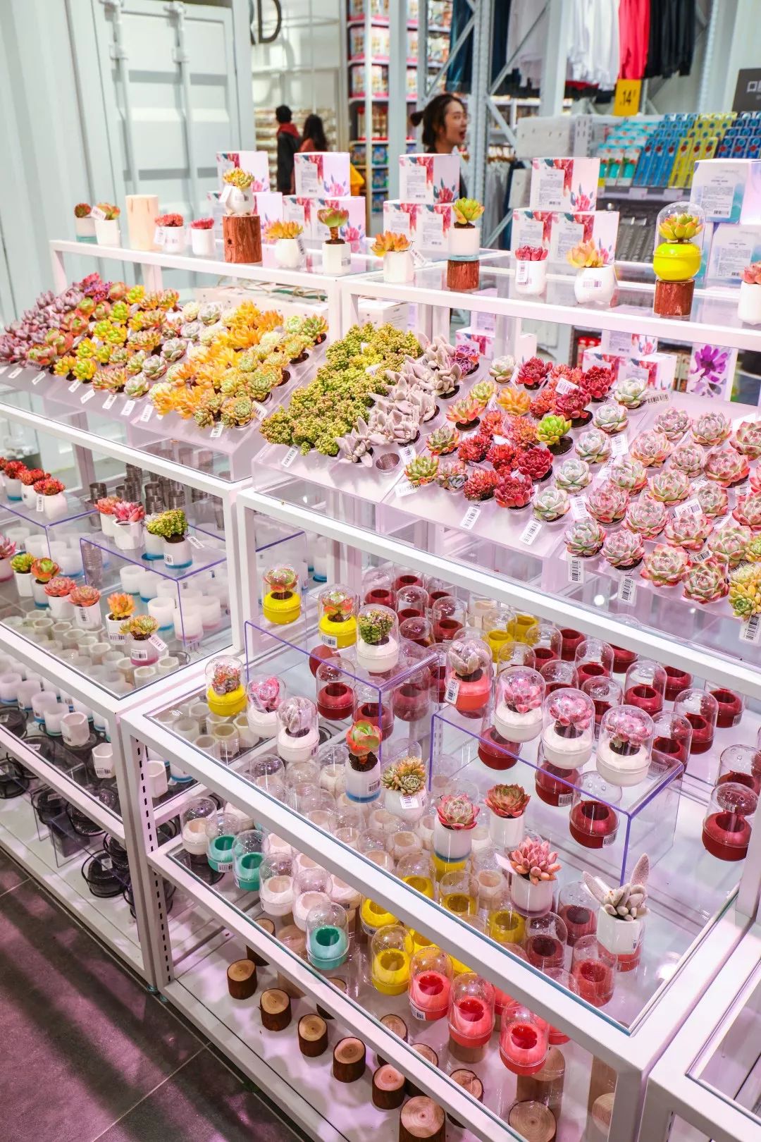 火爆全国的800㎡＋网红生活馆空降天津！居然隐藏了这么多秘密