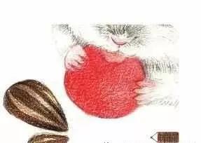 彩铅三只仓鼠图片,小仓鼠彩铅教程