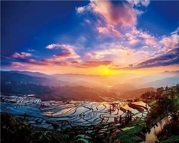 云南十六个州市的代表特色菜,云南省16州市特产排名