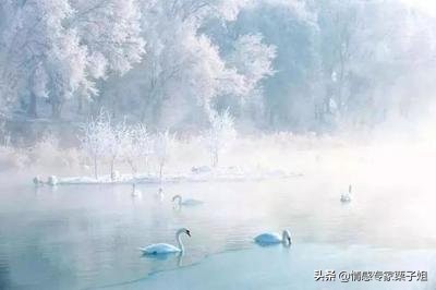 你这种脑子的女人也只能是受骗的命