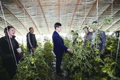 菜农张强遭灾记