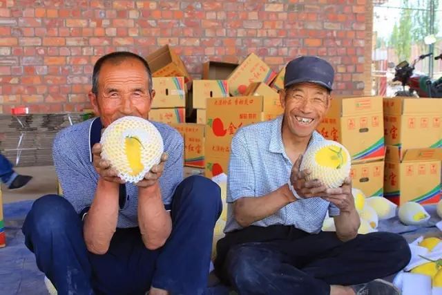 大漠甜瓜，甜甜蜜蜜就是民勤滋味