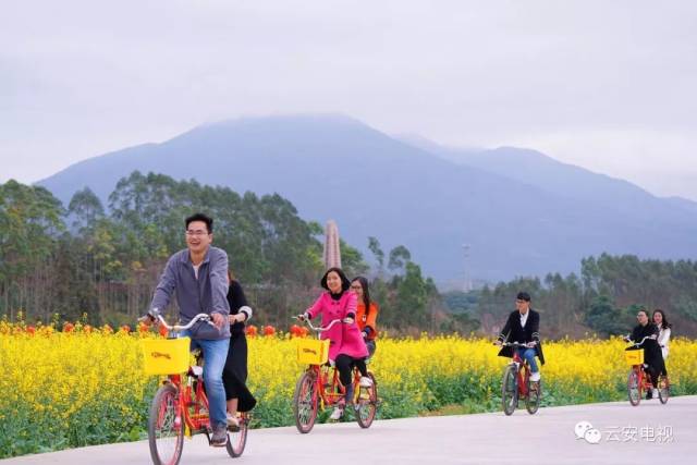 云雾山旅游区景点,美丽云雾山旅游攻略