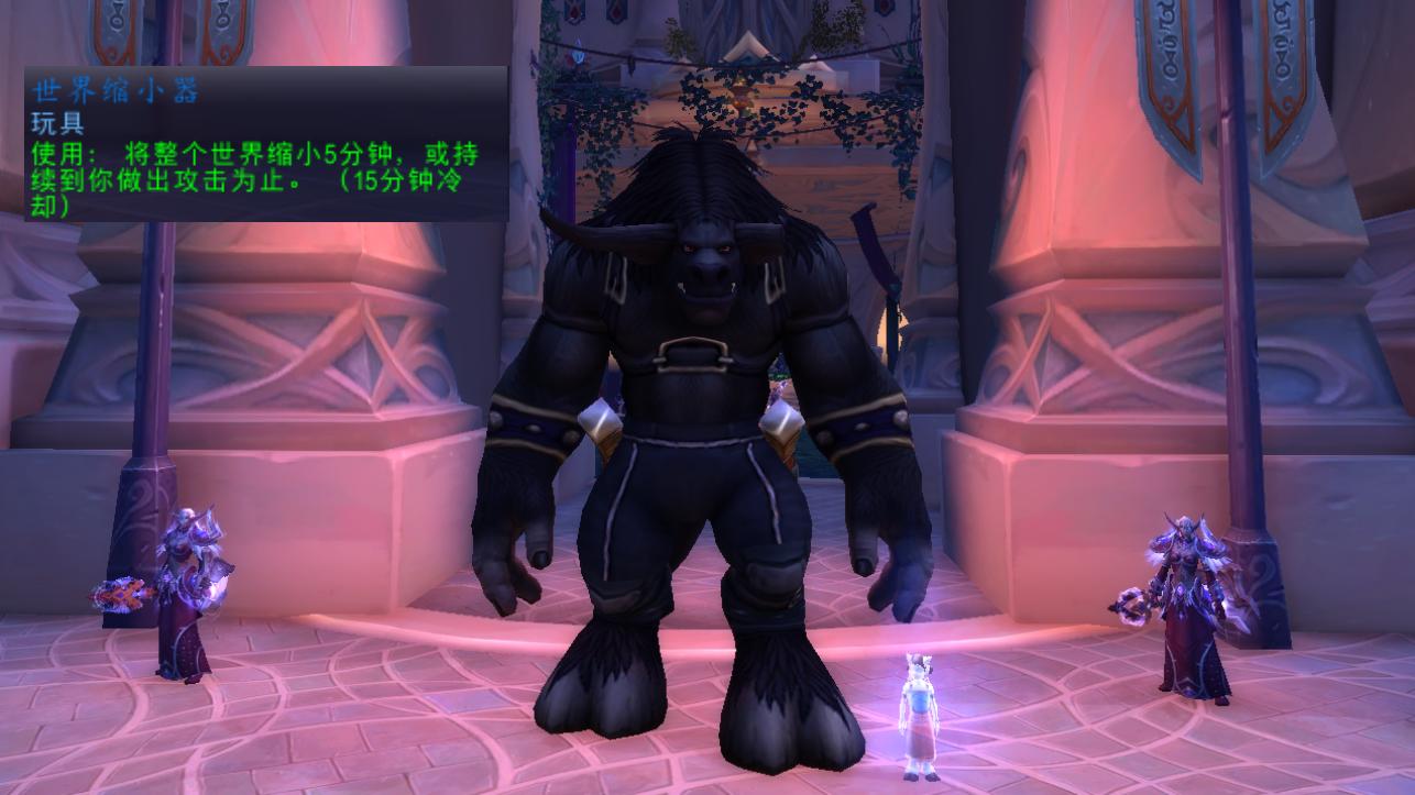 魔兽世界缩小玩具排名,魔兽世界变大的玩具