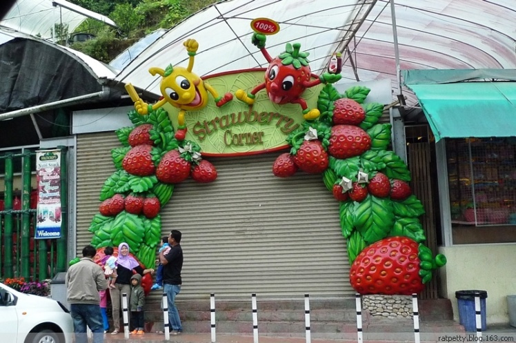 马来西亚办农庄,马来西亚农家小院