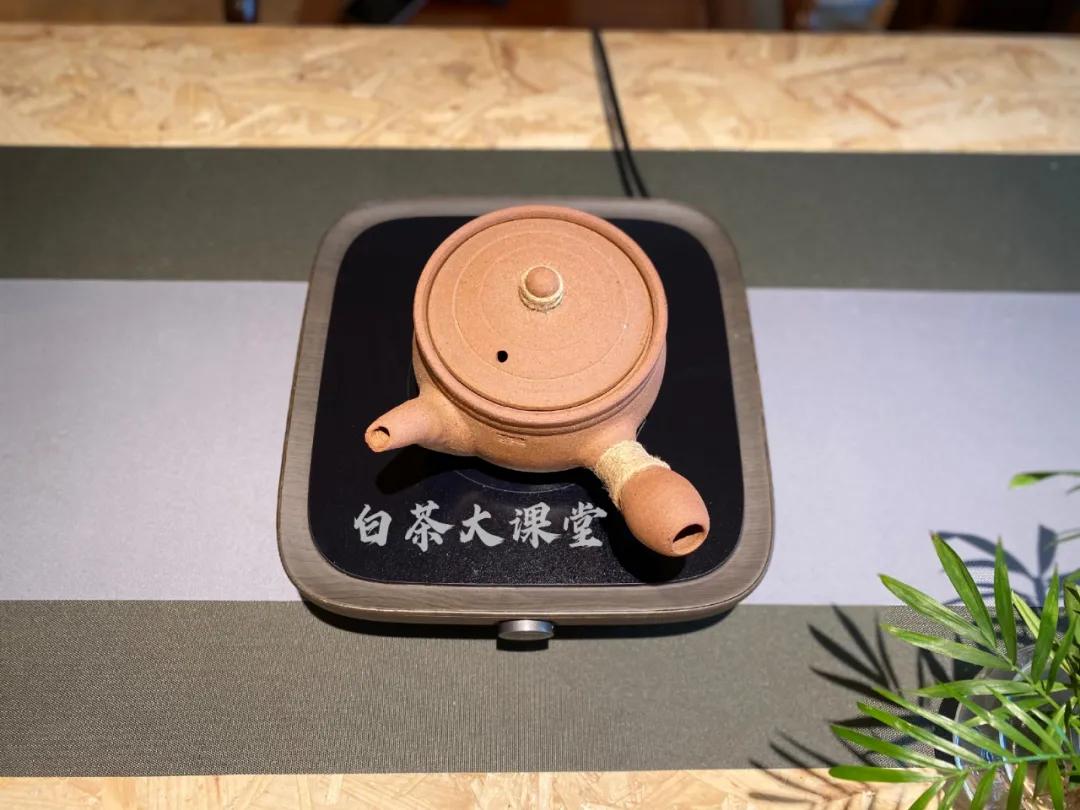 为什么白茶煮出来会苦,为什么白茶泡着不好喝焖好喝