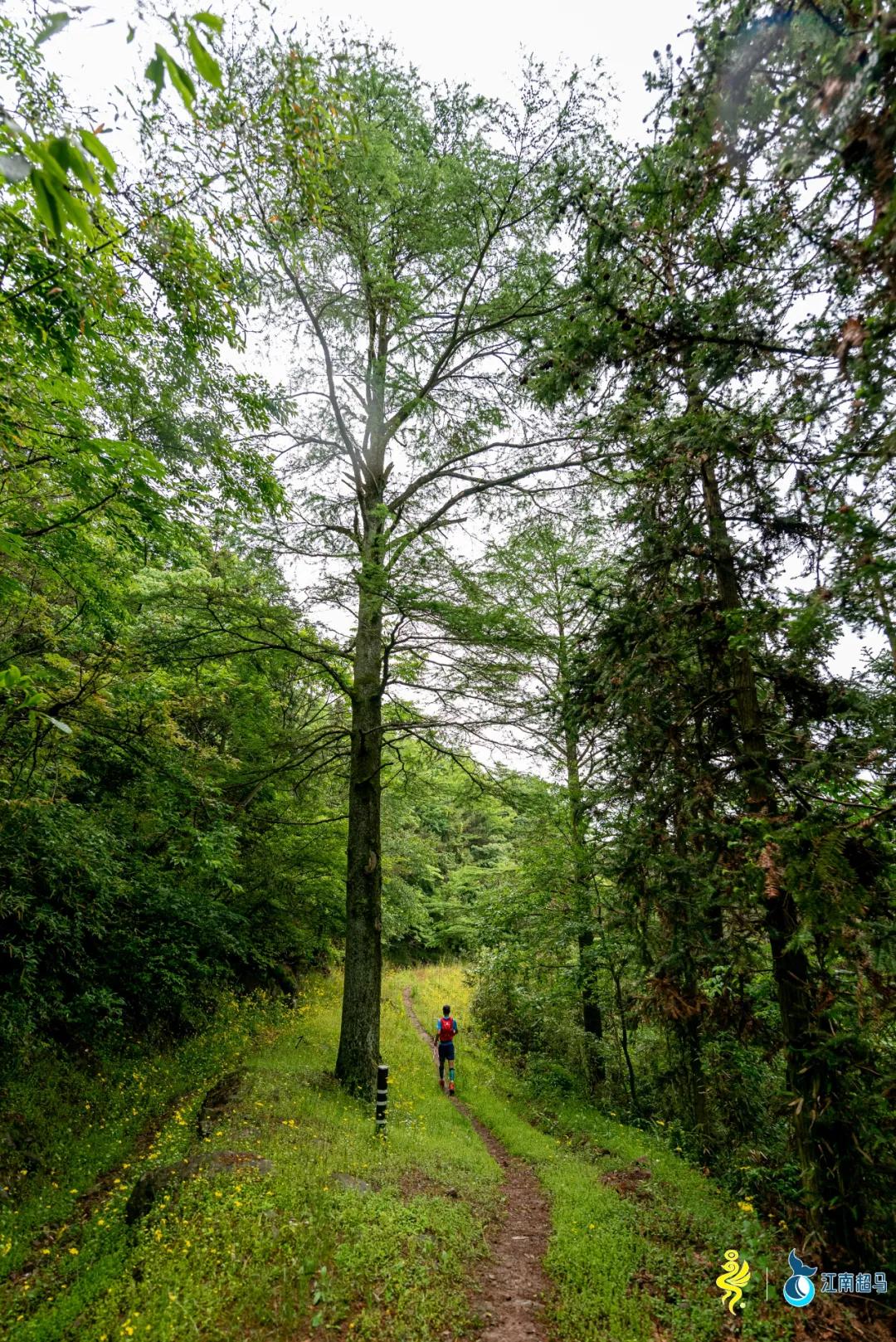 越野跑鞋大小的选择方法有哪些,路跑和越野跑选鞋