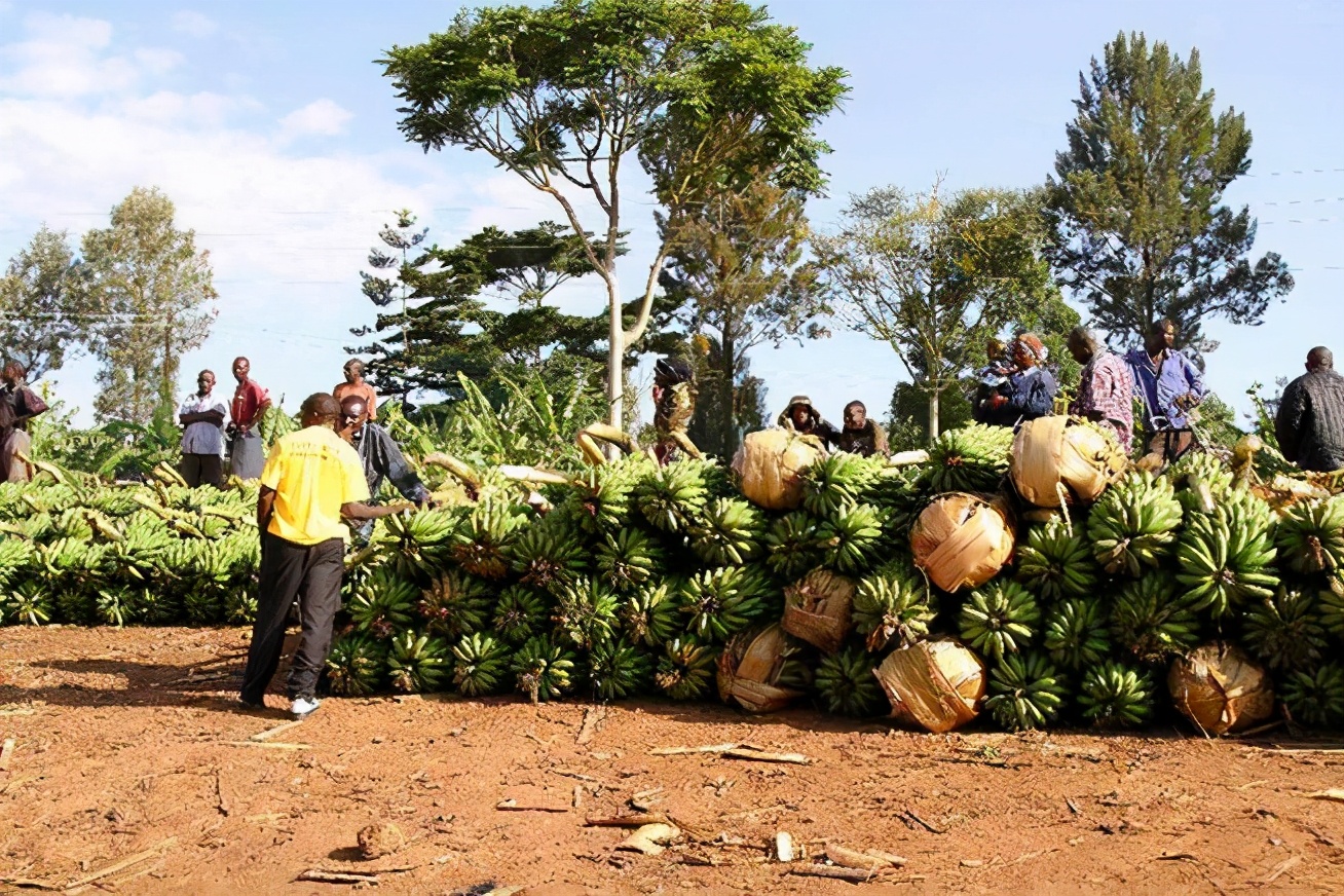 乌干达gdp怎么样,东非国家gdp