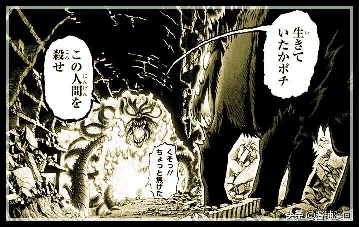 一拳超人埼玉驯服波奇,一拳超人漫画解说波奇