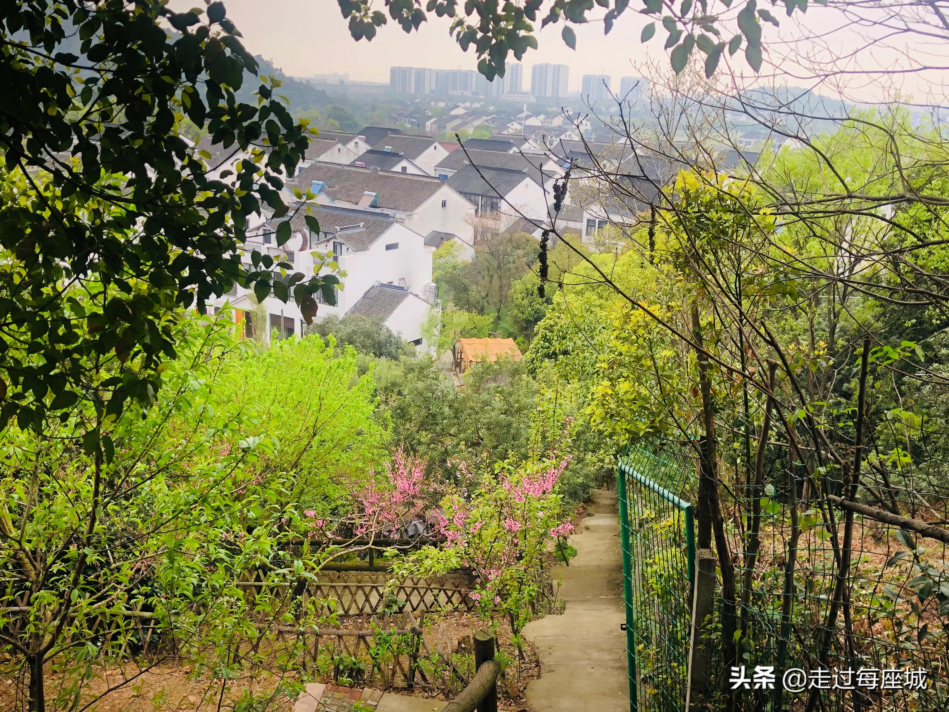 苏州小众却很棒的原生态的古镇,苏州必去的古村