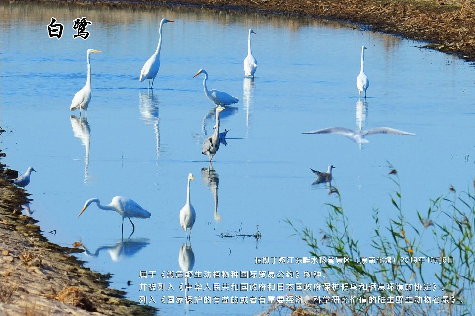 榻愰綈鍝堝皵瀚╂睙涓滄按鐝嶇鍏洯,榻愰綈鍝堝皵瀚╂睙涓滄按鐝嶇婀垮湴鍏洯