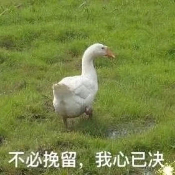 最低只要10块钱!这些网红单品实在是太可怕了!