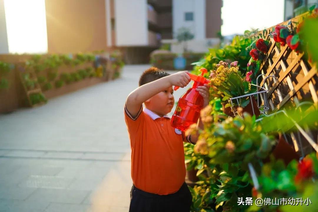2021年名校幼升小面试,2021年南海区石门实验学校小升初