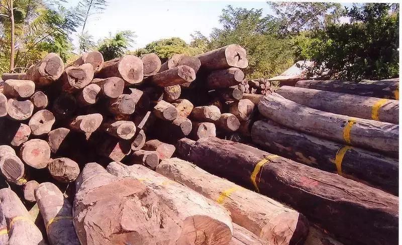 红木家具木材品种进口价格及图片,目前红木家具木材价格