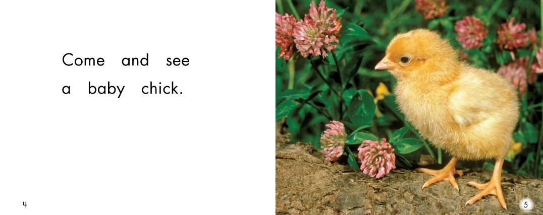 儿童绘本小动物睡前故事,动物宝宝有声绘本推荐0-3岁读绘本