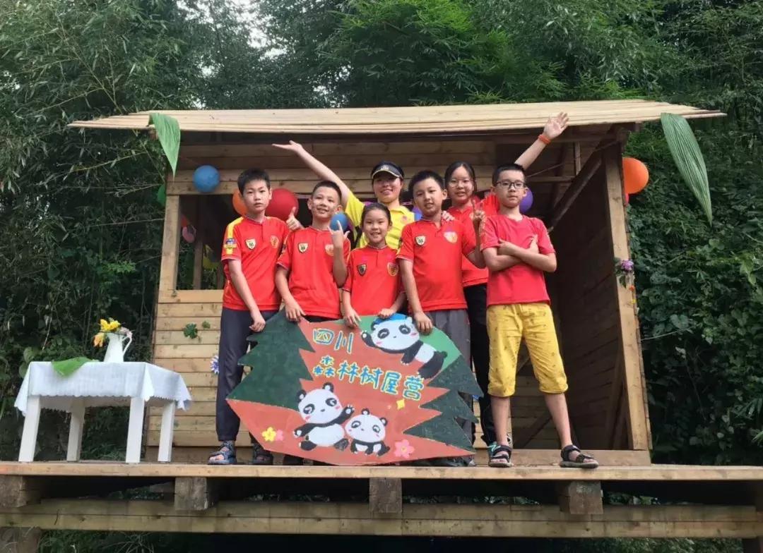 厉害了！这几个小学生竟然花了5天时间在森林里造了一个......