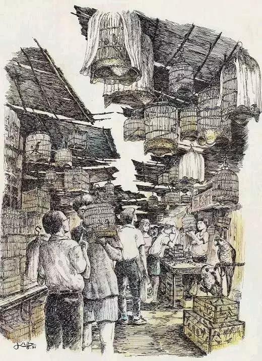 钢笔用得好，真的可以为所欲为！