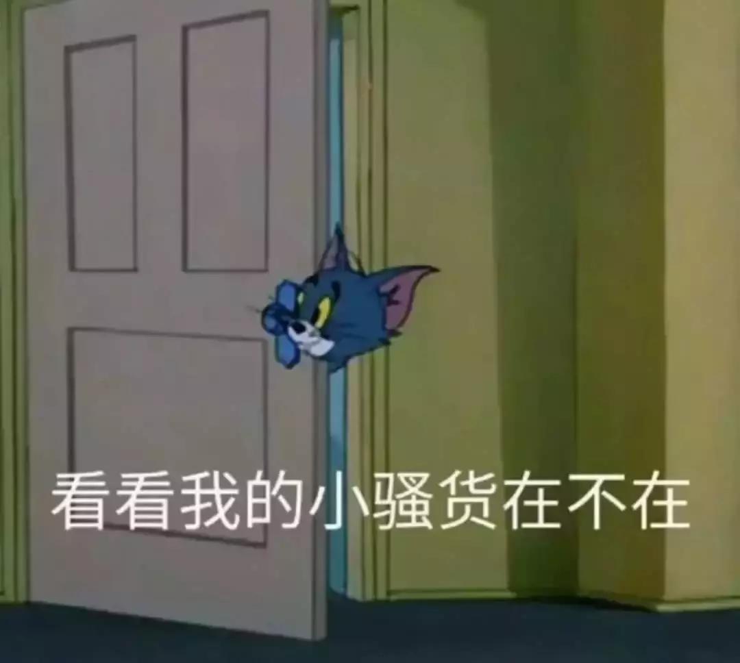 ZARA、UR新品直通车！温柔色走一波，穿上真的美哭！