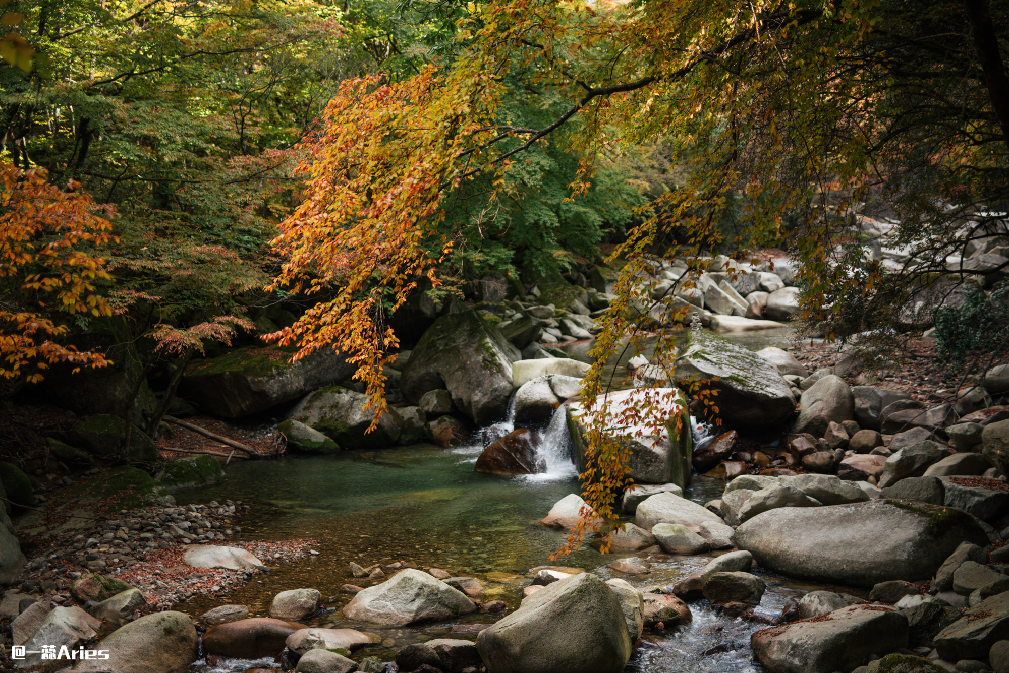 川西赏秋什么时间最好,推荐全球十大最佳赏秋胜地