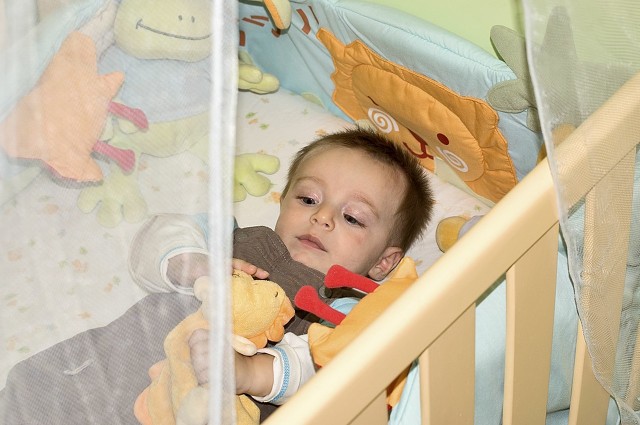 伊蚊是什么蚊子,伊蚊是哪个地区的蚊子